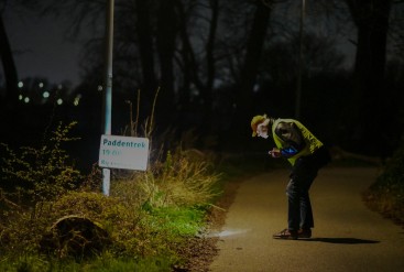 In het donker op de Riekerweg: 17 jaar padden redden met Hans
