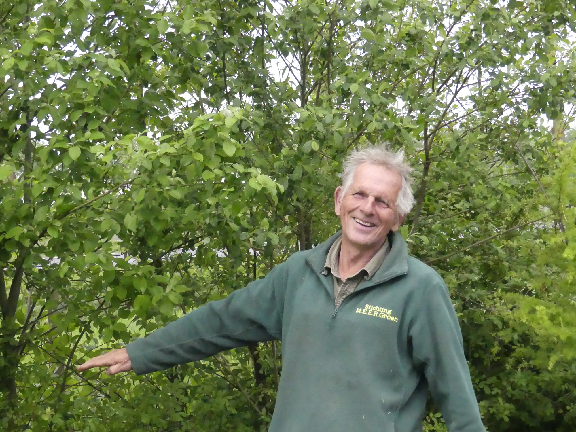 Franke van der Laan van Stichting MEERgroen