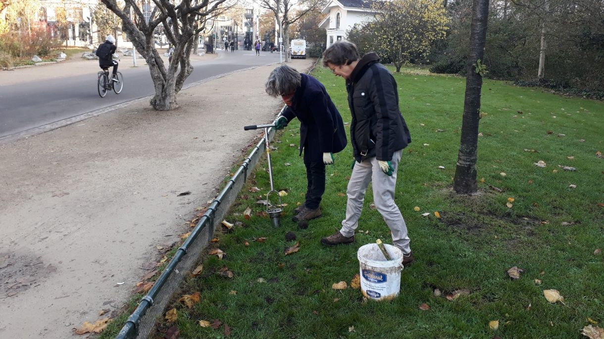 Vrijwilligers aan het werk in het Vondelpark