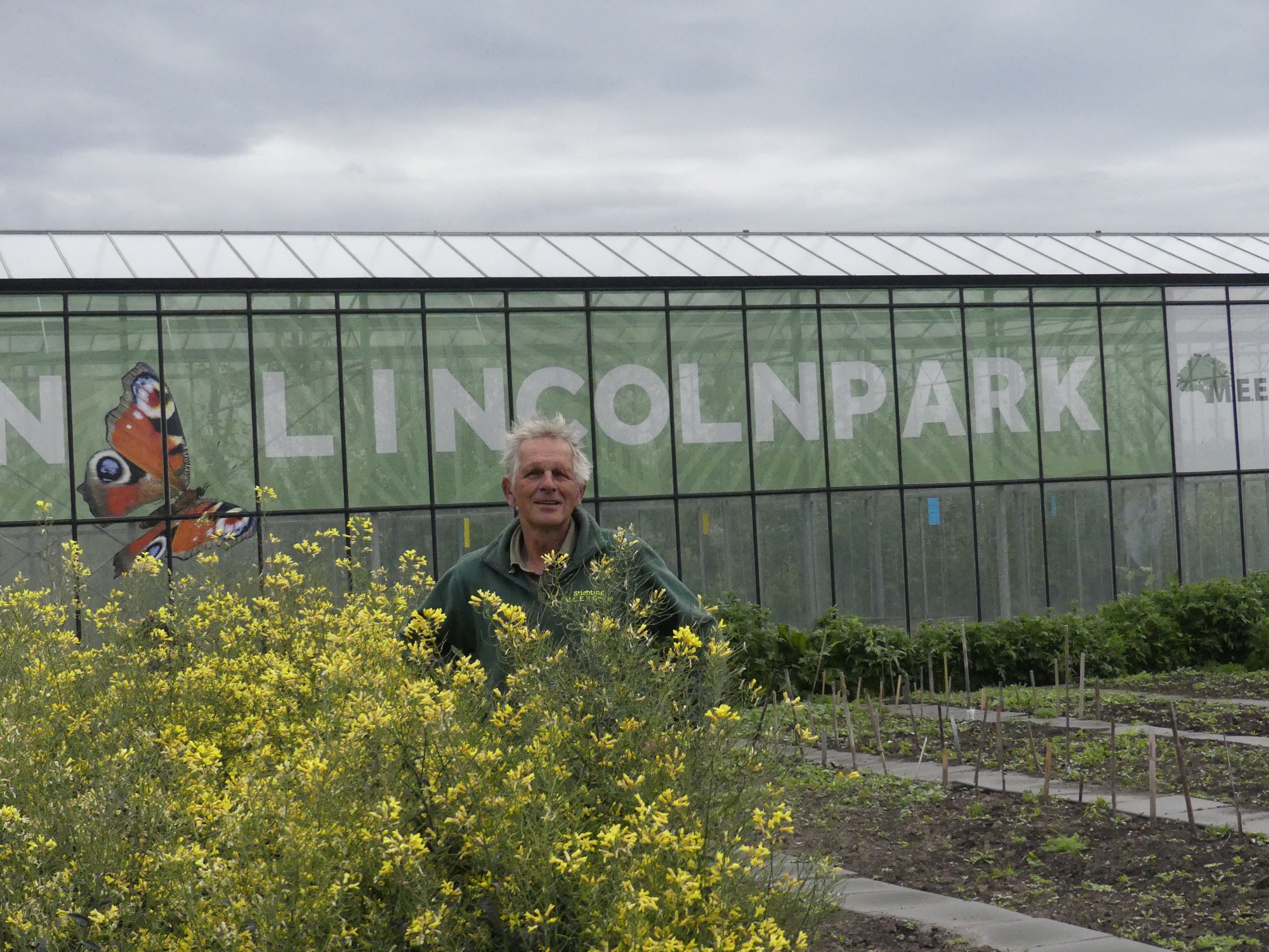 Franke van der Laan van Meer Bomen Nu