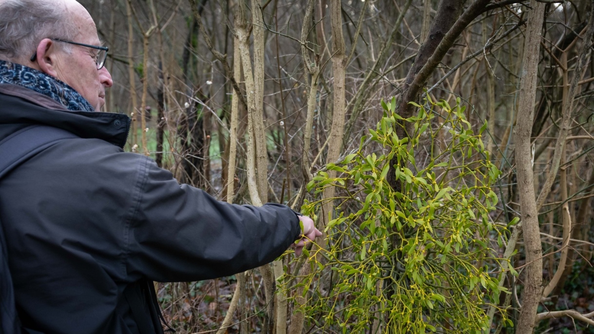 Wim Swinkels vrijwillig natuurgids bij IVN natuureducatie